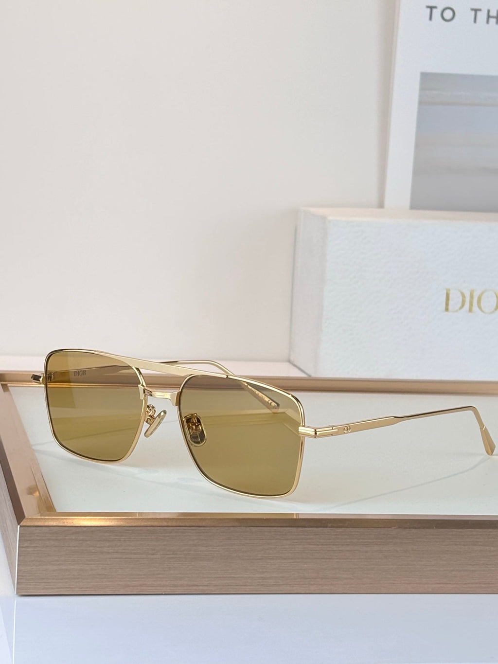 Dior Diorblacksuit s17U Sunglasses